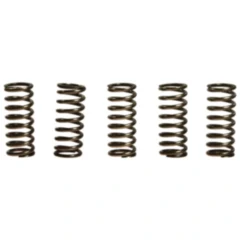 Kupplungsfedern verstärkt EBC Inhalt 5 Stück passend für: Honda CBF, VFR, CB