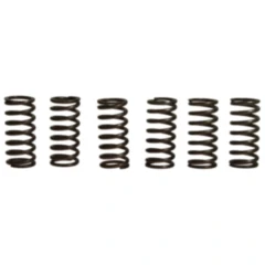 Kupplungsfedern verstärkt EBC Inhalt 6 Stück passend für: BMW F 650, Aprilia Pegaso