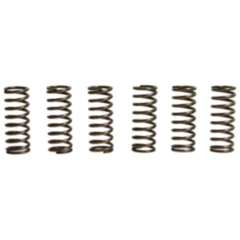 EBC verstärkte Kupplungsfedern Kit (6 Stück)