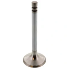 Auslassventil Siebenrock passend für: BMW R 7471339