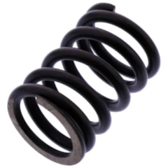 Ventil Feder Siebenrock passend für: BMW R