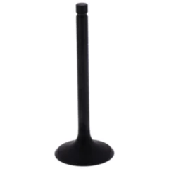 Einlassventil für Motorräder