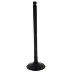 Einlassventil für Motorräder 7471673