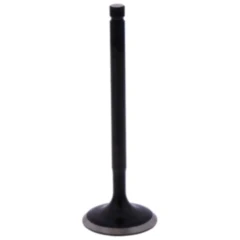 Einlassventil für Motorräder 7471727