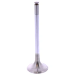 Auslassventil Originalersatzteil passend für: Beta RR