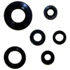 Wellendichtring Satz für Motoren 7519689