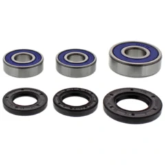 Radlagersatz und Wellendichtring von All Balls Racing