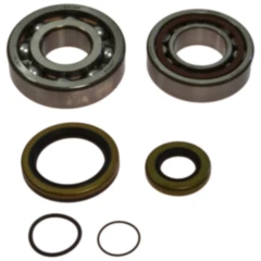 Kurbelwellenlager Satz All Balls Racing mit Wellendichtring passend für: Gas Gas EC, MC 7560102