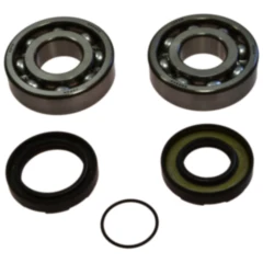 Kurbelwellenlager Satz für Motorräder mit Wellendichtring