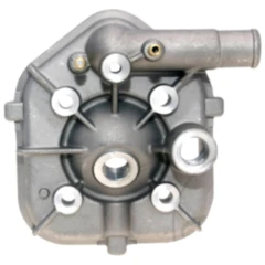 Zylinderkopf Naraku passend für: Peugeot Speedfight