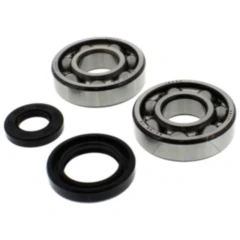 Kurbelwellenlager Satz mit Wellendichtring für Motorräder 7560814