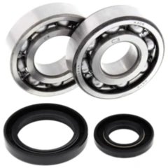 Kurbelwellenlagersatz All Balls Racing mit Wellendichtring
