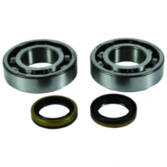 Kurbelwellenlager Satz All Balls Racing mit Wellendichtring passend für: Beta Evo