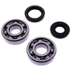 Kurbelwellenlager Satz mit Wellendichtring für Motorräder 7562750