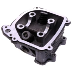 Zylinderkopf mit Sekundärluftsystem 101 Octane passend für: Jonway YY125T - 10, YY125T - 12, YY125T - 19