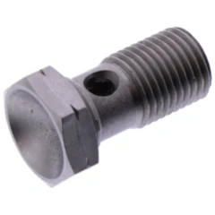 Hohlschraube einfach M12 x 1,25 in Edelstahl silber