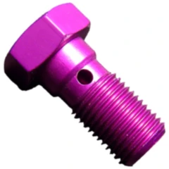 Hohlschraube Aluminium M10 x 1,00 violett