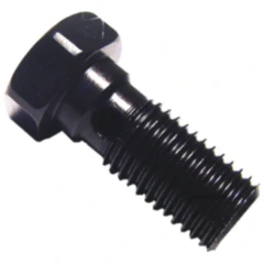 Hohlschraube M10 x 1,25 Aluminium schwarz