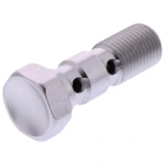 Doppelhohlschraube M10x1 aus Aluminium in Silber