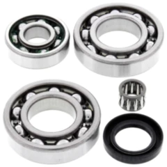 Differential Reparatursatz hinten All Balls Racing passend für: Kawasaki KLF