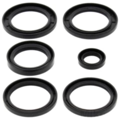 Differential Reparatursatz hinten All Balls Racing passend für: Kawasaki KVF, KFX 7731728