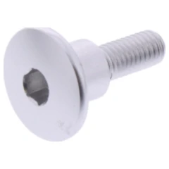 Linsenschraube JMP Bolt M6X1.00 mm 22 mm Alu silber