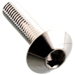 Linsenschraube Edelstahl M5X0.8 mm 20 mm für Motorräder