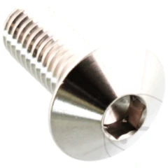 DOME HEAD BOLT M8X1.25MM 20MM STAINLESS STEEL A4