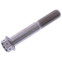 Schraube 6 Kant JMP Bolt M10 x 1. 25 mm 60 mm Edelstahl V4A Racing passend für: Triumph Daytona