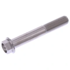 Schraube 6 Kant M10 x 1. 25 mm 65 mm Edelstahl V4A passend für: Triumph Tiger, Street Triple, Speed Triple