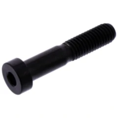Zylinderschraube M8X1. 25 mm 40 mm Edelstahl V4A schwarz passend für: Ducati Monster, 916, 748