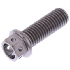 Schraube Sechskant M7X1 20mm Titan Racing