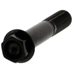 Sechskantschraube M10 x 1.25 mm 55 mm Edelstahl V4A schwarz