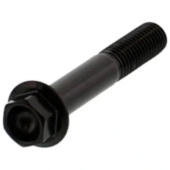 Edelstahl Sechskantschraube M8X1.25 50 mm schwarz