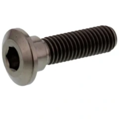 Schraube Bremsscheibe JMP Bolt M8X1. 25 mm 30 mm Titan passend für: Kawasaki Z, VN, ZZR