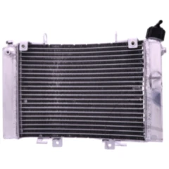 Wasserkühler für Motorräder JMP 7760381