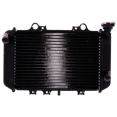 Wasserkühler läuft aus 0825 passend für: BMW G, C