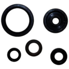 Wellendichtring Satz für Motoren 7790447