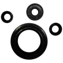 Wellendichtring Satz Athena passend für: Kawasaki KLE, Vulcan, ER - 6F