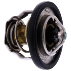 Thermostat Originalersatzteil passend für: Cagiva Raptor